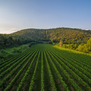 Degustazione e Visita in Cantina La Valle - Benvenuti in Franciacorta