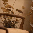 Degustazione e Visita in Cantina La Valle - Benvenuti in Franciacorta