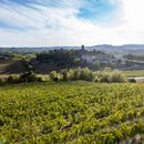 Degustazione e Visita "Antologia del Castello" presso la Cantina Castello di Uviglie