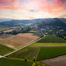 Degustazione e Visita "Antologia del Castello" presso la Cantina Castello di Uviglie