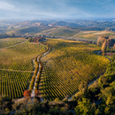 Degustazione e Visita presso Cantina Broglia - I Premiati