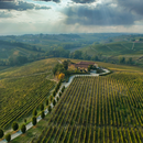 Degustazione e Visita presso Cantina Broglia-Da Invecchiamento