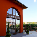 Degustazione e Visita in Cantina Corte Adami - La Collezione