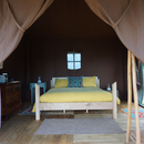 Glamping e Degustazione in Le Lagore - Tenda Foresta