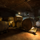 Degustazione e Visita presso le Cantine dei Marchesi Incisa della Rocchetta