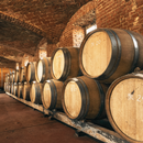 Degustazione e Visita presso le Cantine dei Marchesi Incisa della Rocchetta