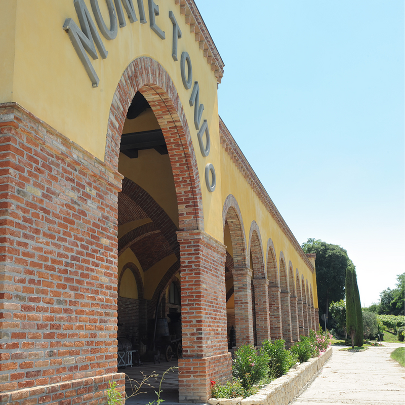 Degustazione e Visita in Cantina Monte Tondo - I Classici