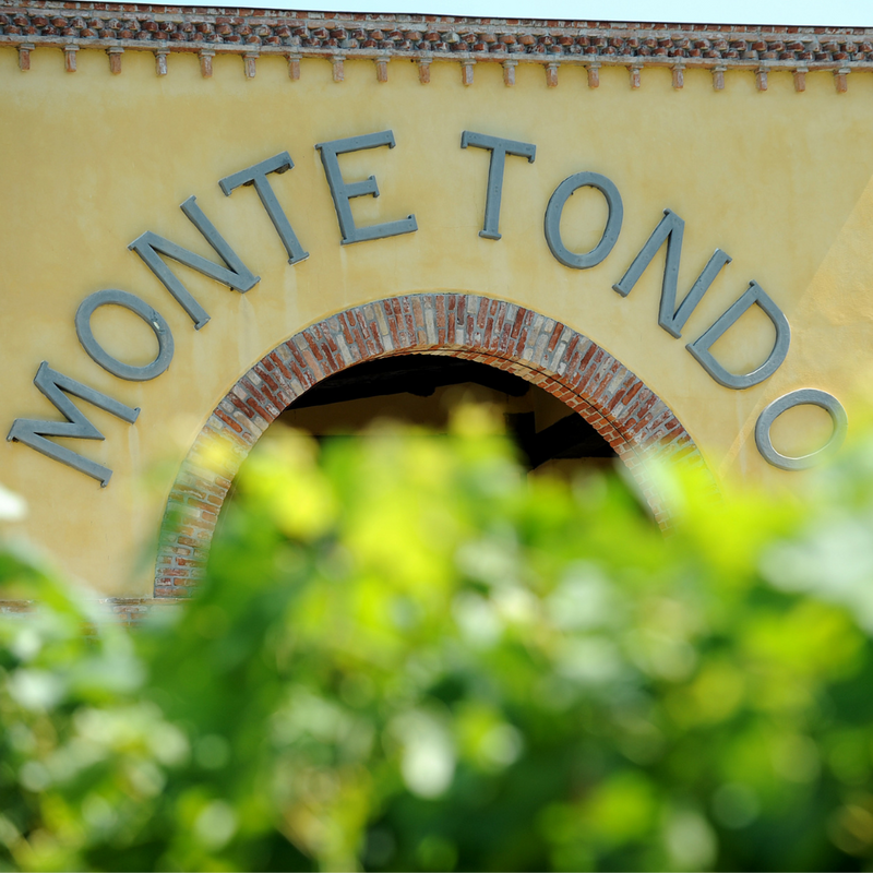 Degustazione e Visita in Cantina Monte Tondo - I Classici
