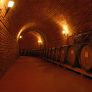 Degustazione al Castello Monterinaldi - Chianti Classico