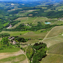 Pranzo e Degustazione al Castello Monterinaldi - Light Lunch