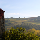 Enologo per un giorno al Castello Monterinaldi - La Cuvée su Misura