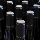 Degustazione e Visita in Cantina Monte Tondo - I Classici