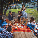 Pic-Nic in Vigna Tenuta Bricco San Giorgio