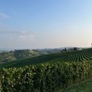 Degustazione Gli Stendardi presso Podere Gagliassi
