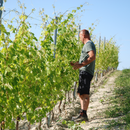 Degustazione Gli Stendardi presso Podere Gagliassi
