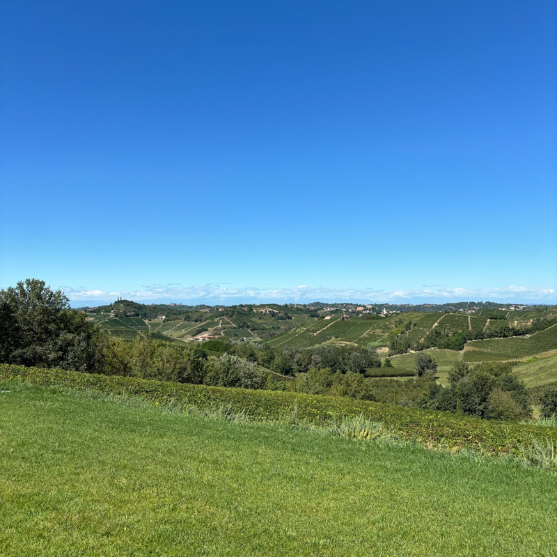 Degustazione Sensoriale e Visita in Tenuta Bricco San Giorgio