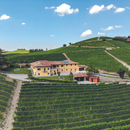 Degustazione e Visita presso Costa di Bussia-Barolo MasterClass