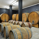 Degustazione e Visita presso Costa di Bussia - Cru Experience