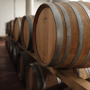 Degustazione e Visita Cantina Taliano Michele- Il Ciabòt