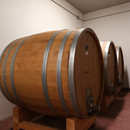 Degustazione e Visita Cantina Taliano Michele- Il Ciabòt