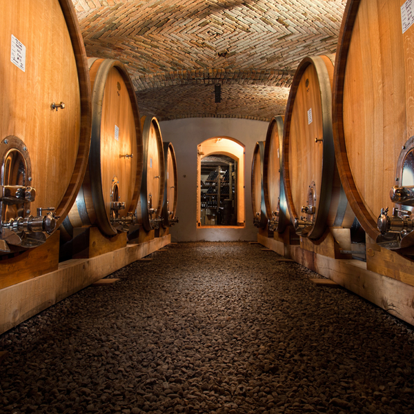 Degustazione Le Radici presso Poderi Gianni Gagliardo