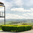 Degustazione Cuore del Barolo presso Poderi Gianni Gagliardo