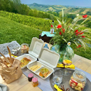 E-Bike Tour & Pic-Nic in Vigna Tenuta Bricco San Giorgio
