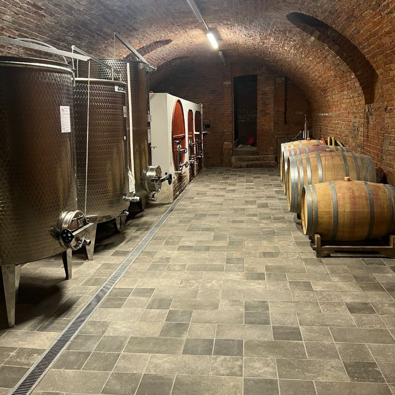 Degustazione e Visita "La Malandrina" presso Cascina Rainero