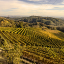 Degustazione e Visita Cantina Taliano Michele- Il Ciabòt