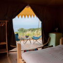 Glamping e Degustazione in Le Lagore - Tenda Safari