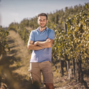 Degustazione e Visita in Tenuta Bricco San Giorgio - Barbera Grapes