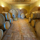 Pic-Nic in Vigna Tenuta Bricco San Giorgio